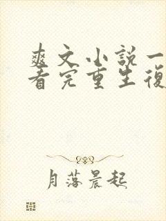 爽文小说一口气看完重生复仇