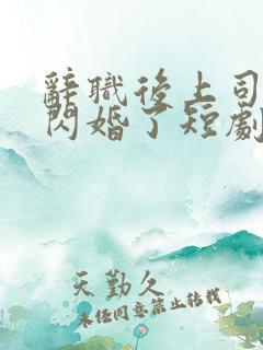 辞职后上司和我闪婚了短剧全集免费