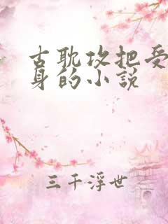 古耽攻把受当替身的小说