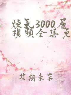 炼气3000层视频全集免费观看