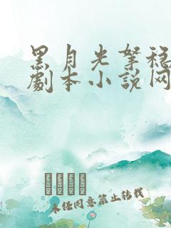 黑月光拿稳be剧本小说网盘