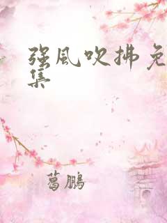 强风吹拂免费全集