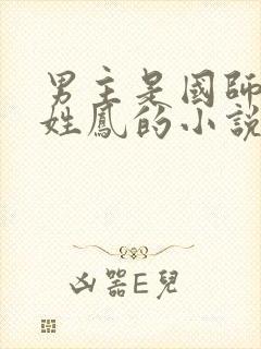 男主是国师女主姓凤的小说