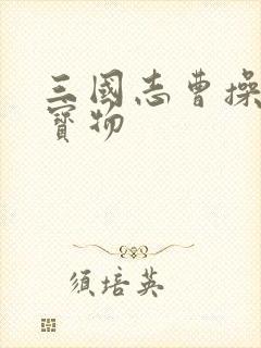 三国志曹操传 宝物