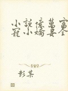 小说亿万富豪独宠小娇妻全文阅读