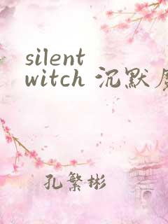 silent witch 沉默魔女的秘密小说