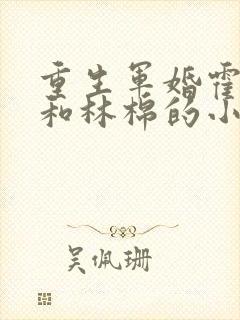 重生军婚霍慎言和林棉的小说