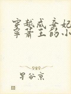 穿越成弃妃楚昀宁萧王的小说