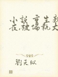 小说 重生新婚夜,被偏执大佬亲疯了