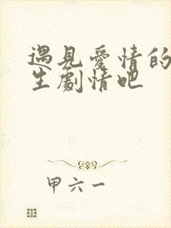 遇见爱情的利先生剧情吧