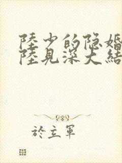 陆少的隐婚罪妻陆见深大结局