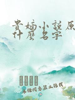 贵嫡小说原著叫什么名字