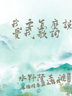 我要怎么说你才爱我歌词