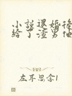 小说退婚后我嫁给了渣男他叔