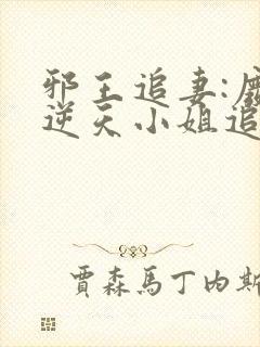 邪王追妻:废材逆天小姐追书