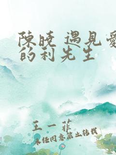 陈晓 遇见爱情的利先生