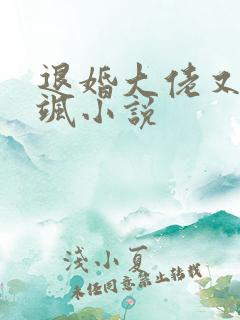退婚大佬又美又飒小说