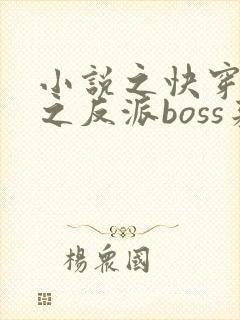 小说之快穿系统之反派boss来袭