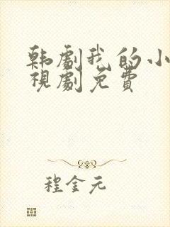 韩剧我的小姨电视剧免费