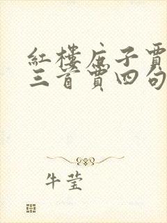 红楼庶子贾环贾三首贾四句的小说