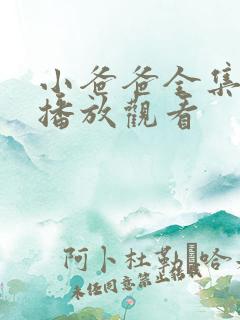 小爸爸全集在线播放观看