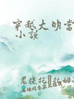穿越大明当崇祯 小说