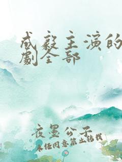 成毅主演的电视剧全部