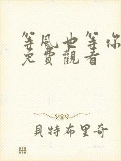 等风也等你短剧免费观看