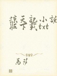 掠天记小说完整版下载txt