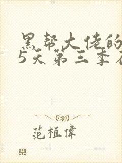 黑帮大佬的365天第三季在线播放