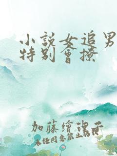 小说女追男女主特别会撩