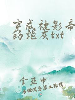 穿成被影帝抛弃的炮灰txt