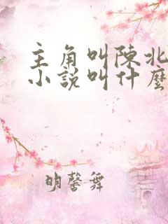 主角叫陈北玄的小说叫什么小说