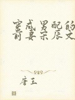 穿成男配的炮灰前妻宋辰文姜o