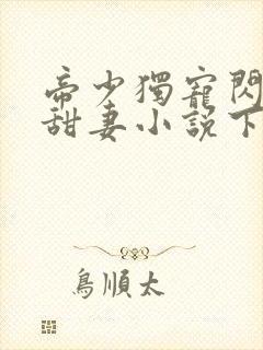 帝少独宠闪婚小甜妻小说下载