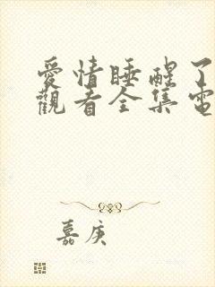 爱情睡醒了免费观看全集电视剧