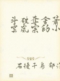 斗破夺舍萧炎上云岚宗的小说