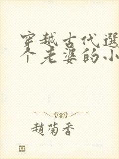 穿越古代选了三个老婆的小说