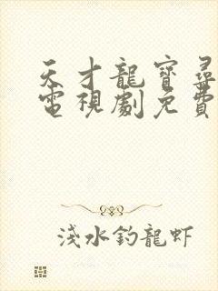 天才龙宝寻亲记电视剧免费播放