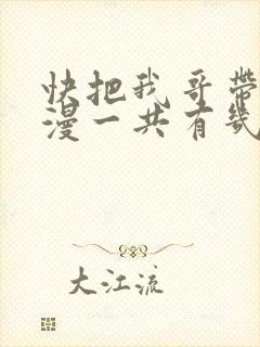 快把我哥带走动漫一共有几季