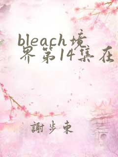 bleach境界第14集在线观看