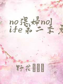 no猥妇nolife第二季免费观看动漫