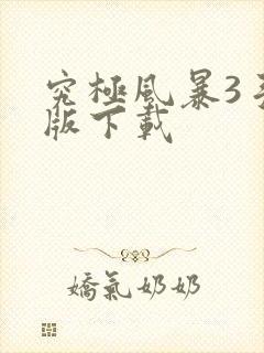 究极风暴3手机版下载