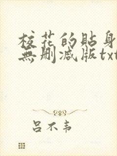 校花的贴身高手无删减版txt下载