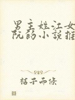 男主姓江女主姓阮的小说推荐