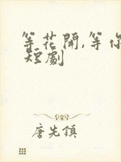 等花开,等你归 短剧