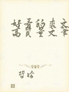 好看的爽文小说高质量文笔好