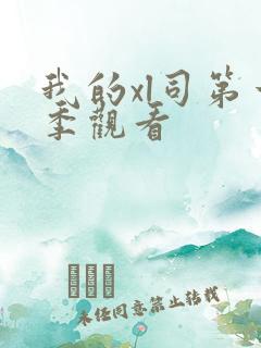 我的xl司第一季观看