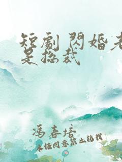 短剧 闪婚老公是总裁