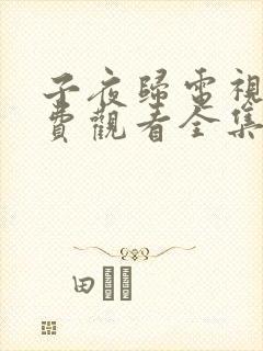 子夜归电视剧免费观看全集高清40集